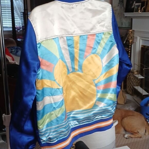 Disney Park Jacket - Picture 3 of 5